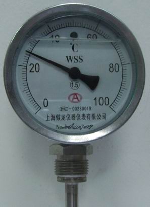 WSSZ-411防震双金属温度计
